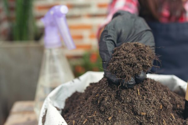 Improve soil health